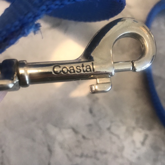 Puppy collar and leash - Picture 4 of 4